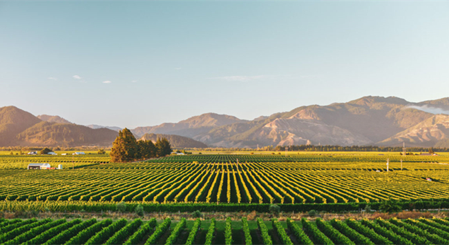 659ffa2b-d259-4441-870d-bf987f1fef7b 659ffa2b-d259-4441-870d-bf987f1fef7b