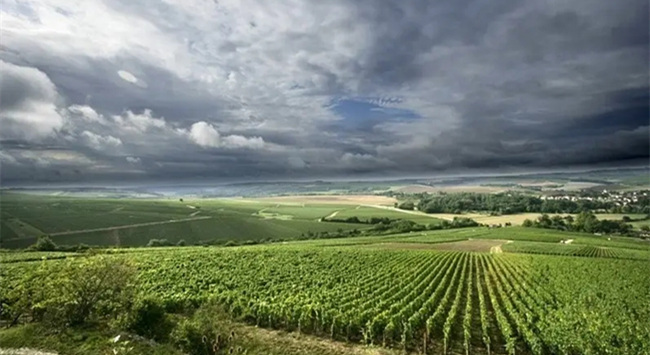 意大利威尼托葡萄酒產區 意大利威尼托葡萄酒產區