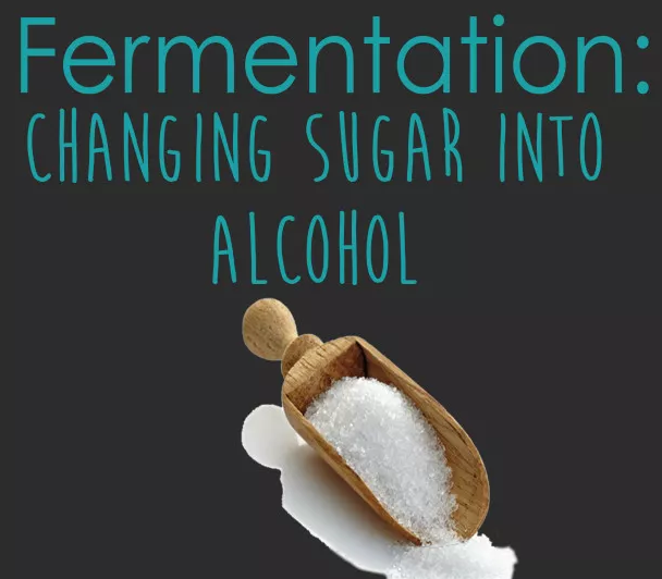 葡萄酒糖分越高，酒精度就越低？